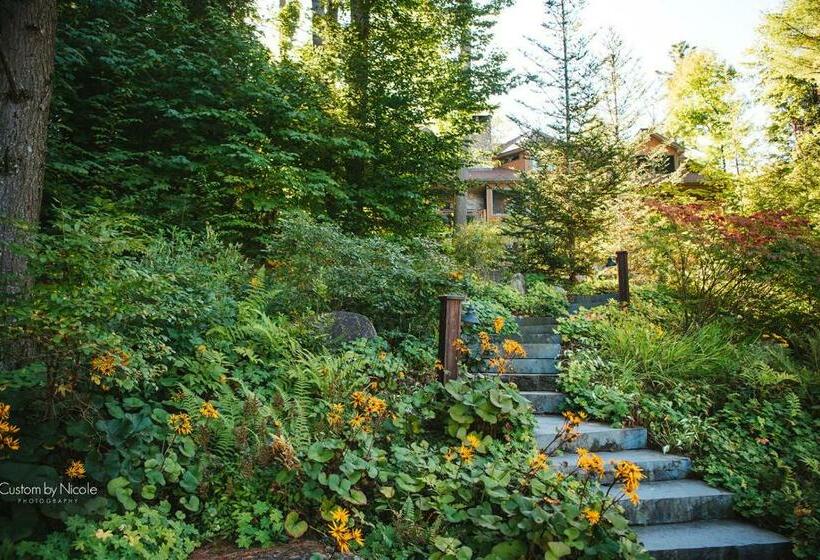 ベッドアンドブレックファースト The Fern Lodge