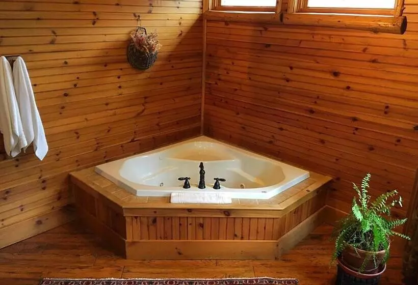 住宿加早餐 The Fern Lodge