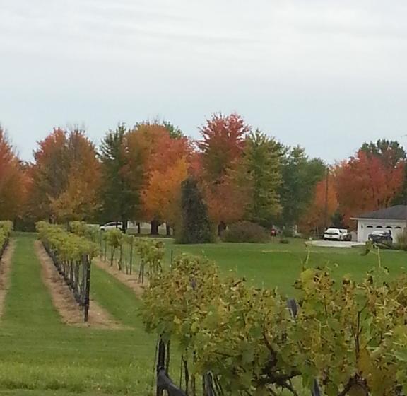 Bella Fattoria Bed And Breakfast