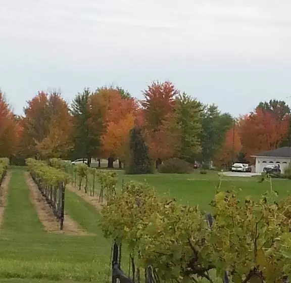 Bella Fattoria Bed And Breakfast