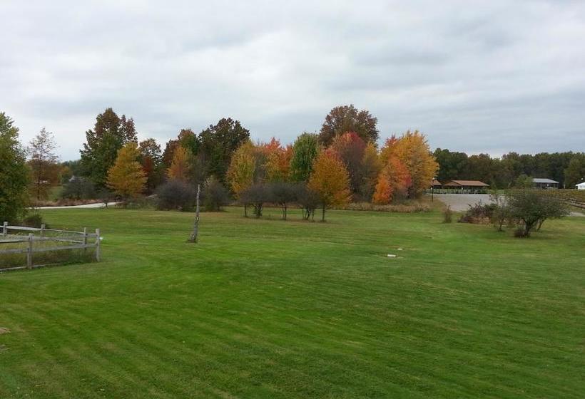 Bella Fattoria Bed And Breakfast