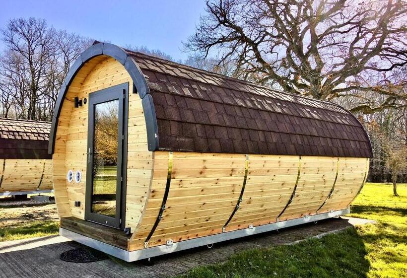 Domaine Joseph Lafarge Wine Resort Oeno Tonneaux Expérience