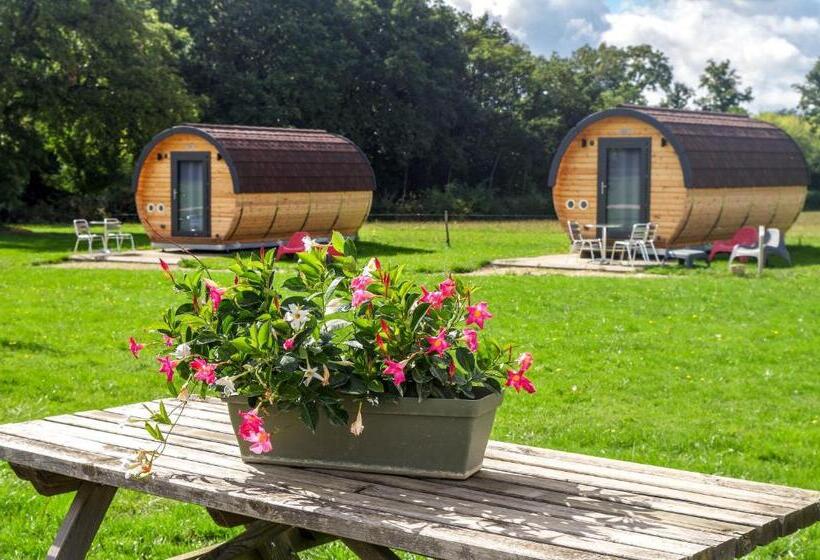 Domaine Joseph Lafarge Wine Resort Oeno Tonneaux Expérience