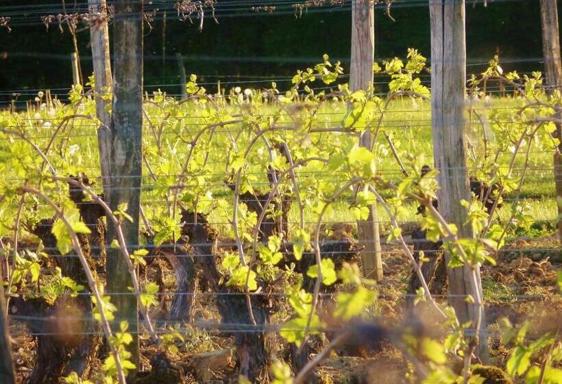 Domaine Joseph Lafarge Wine Resort Oeno Tonneaux Expérience