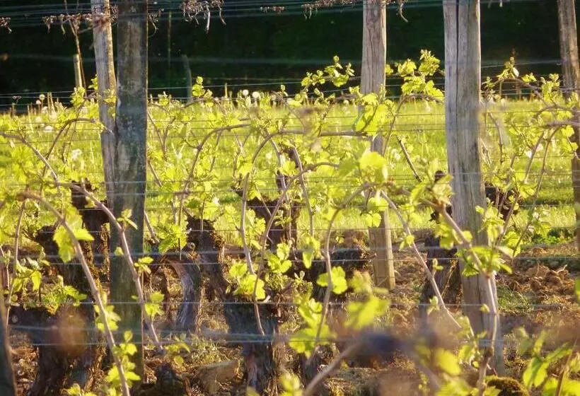 Domaine Joseph Lafarge Wine Resort Oeno Tonneaux Expérience
