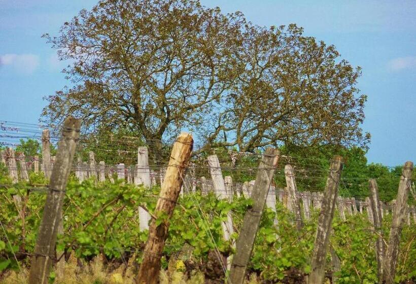 Domaine Joseph Lafarge Wine Resort Oeno Tonneaux Expérience