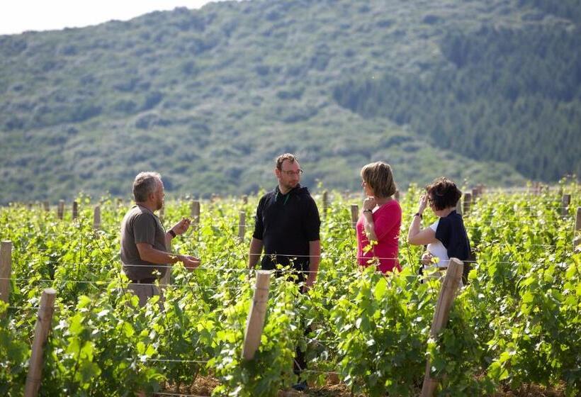 Domaine Joseph Lafarge Wine Resort Oeno Tonneaux Expérience