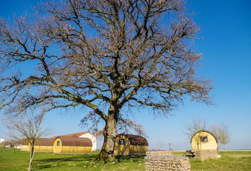 Domaine Joseph Lafarge Wine Resort Oeno Tonneaux Expérience