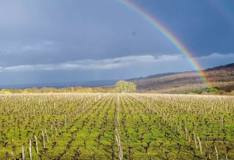 Domaine Joseph Lafarge Wine Resort Oeno Tonneaux Expérience