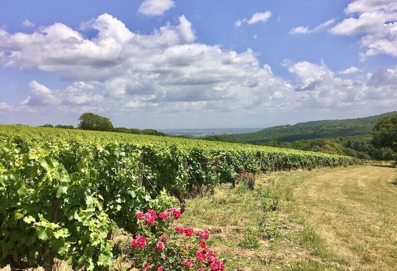 Domaine Joseph Lafarge Wine Resort Oeno Tonneaux Expérience