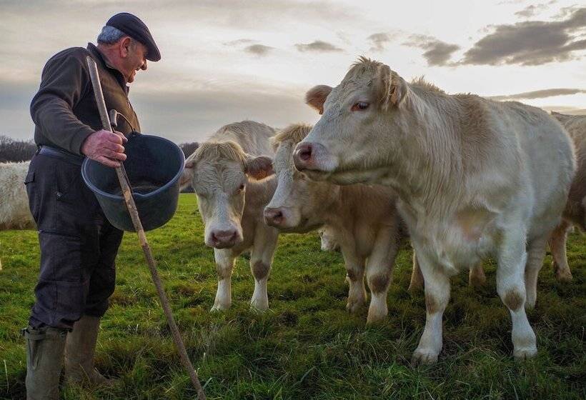 Domaine Joseph Lafarge Wine Resort Oeno Tonneaux Expérience