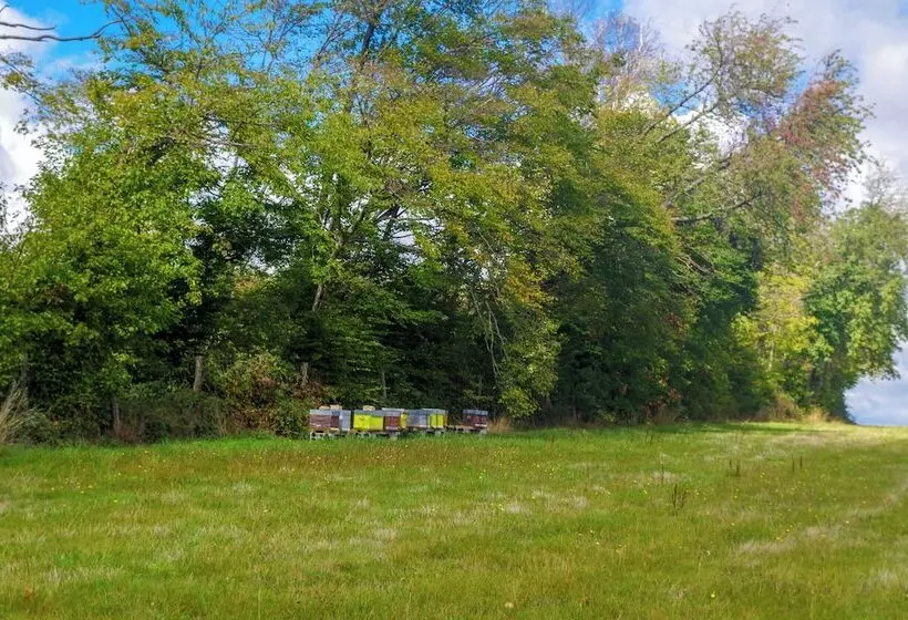 Domaine Joseph Lafarge Wine Resort Oeno Tonneaux Expérience