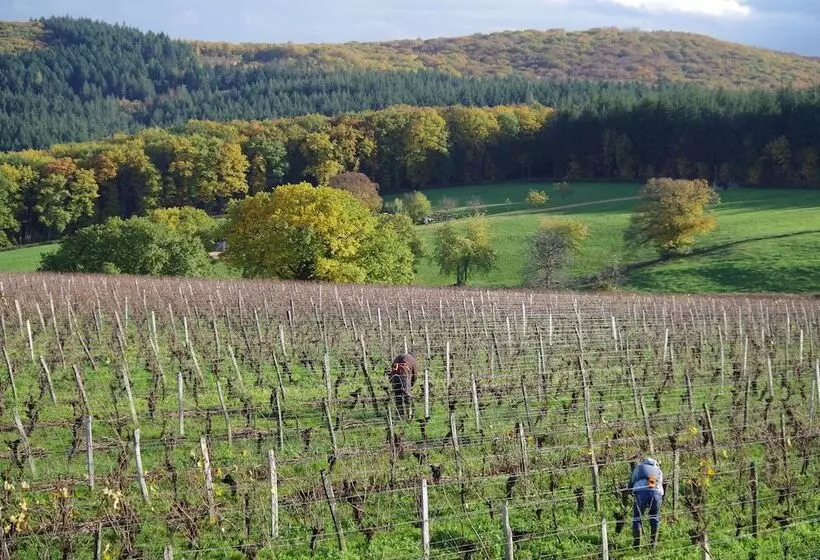 Domaine Joseph Lafarge Wine Resort Oeno Tonneaux Expérience