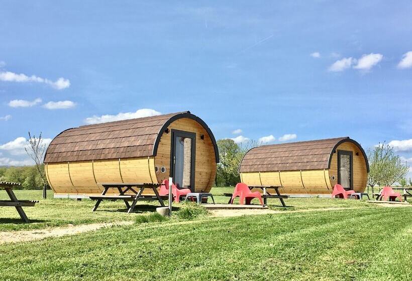 Domaine Joseph Lafarge Wine Resort Oeno Tonneaux Expérience