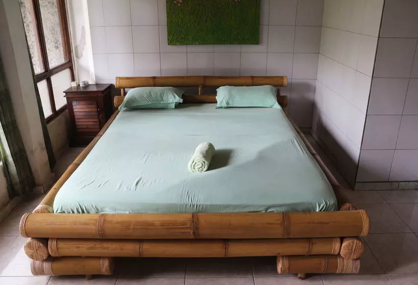 Otel Citrus Tree B&b - Sulendra