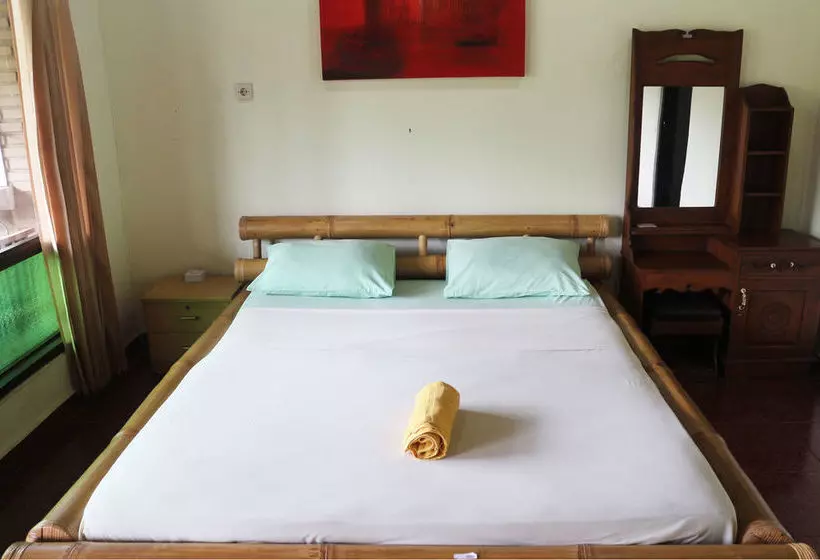 Otel Citrus Tree B&b - Sulendra