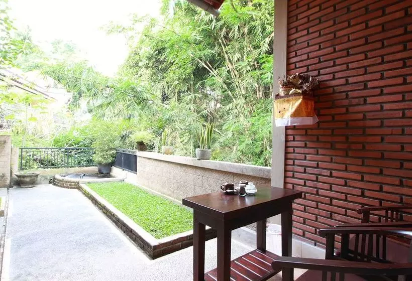 Otel Citrus Tree B&b - Sulendra