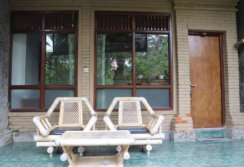 Otel Citrus Tree B&b - Sulendra