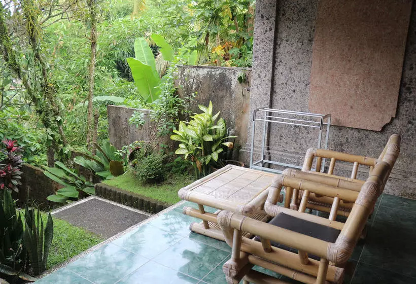 Otel Citrus Tree B&b - Sulendra