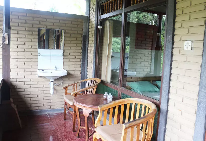 Otel Citrus Tree B&b - Sulendra