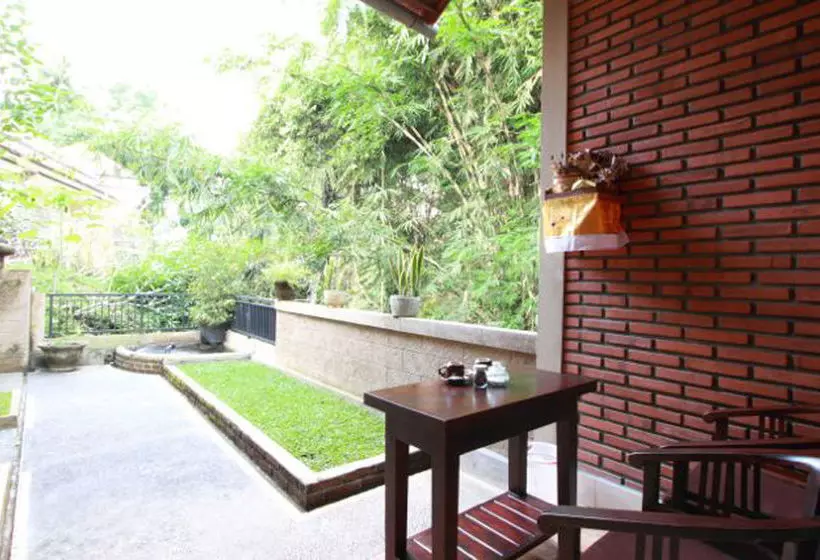 Otel Citrus Tree B&b - Sulendra