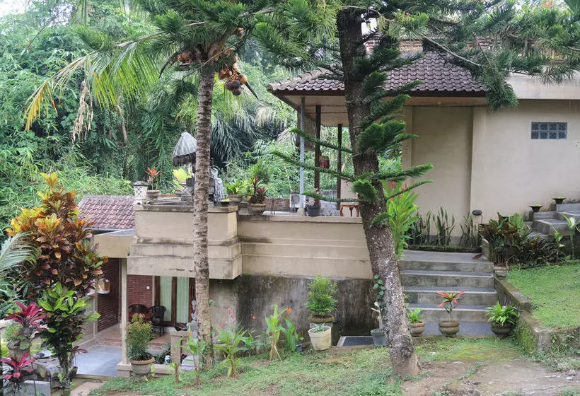 Otel Citrus Tree B&b - Sulendra