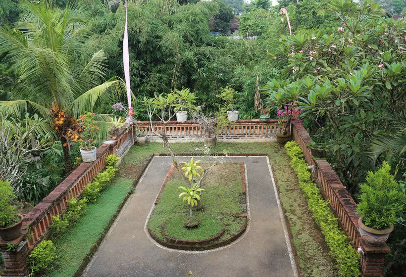 Otel Citrus Tree B&b - Sulendra