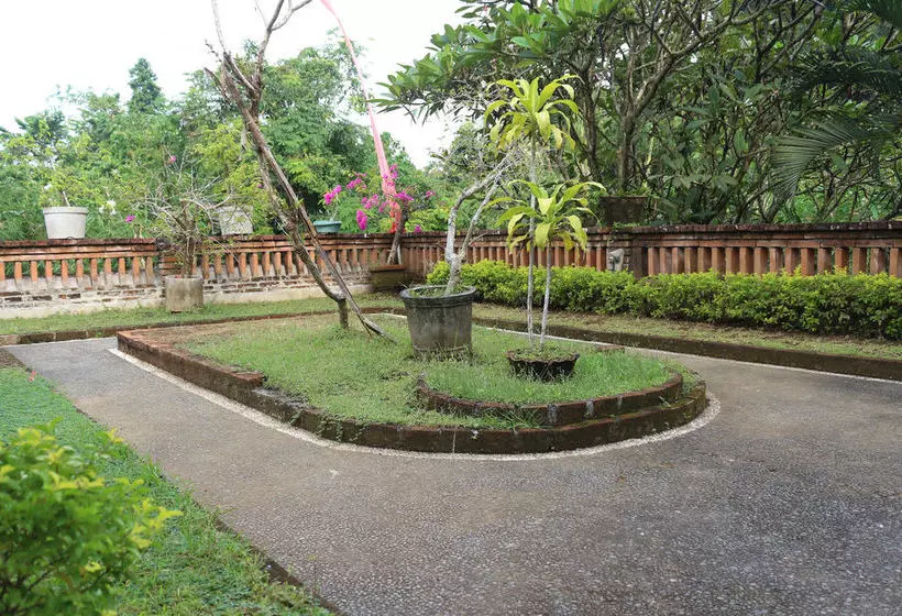 Otel Citrus Tree B&b - Sulendra