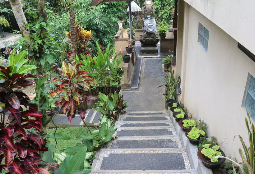 Otel Citrus Tree B&b - Sulendra
