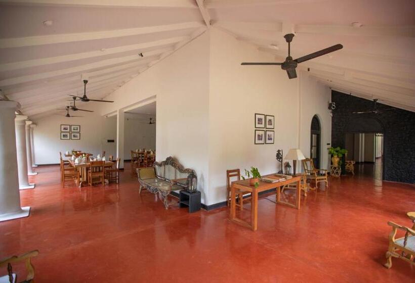 酒店 Ekho Weligama