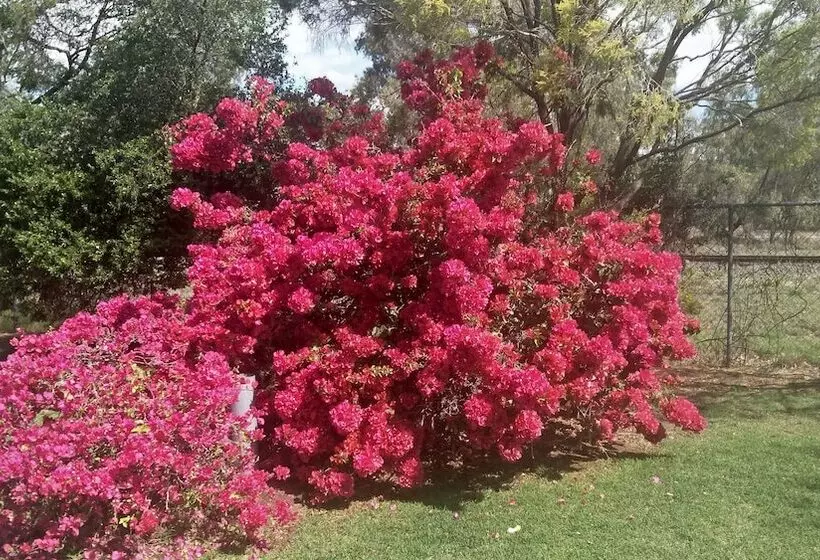 ホテル Goondiwindi Holiday Park