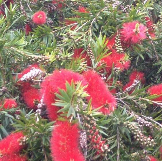 호텔 Goondiwindi Holiday Park