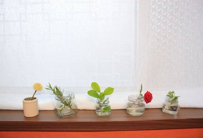 פנסיון Seoraksan Park