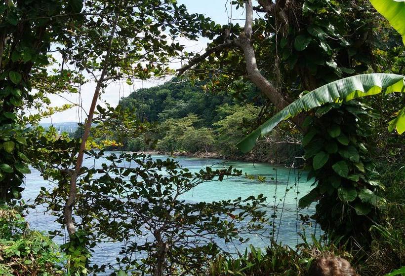 Reggae Hostel Ocho Rios