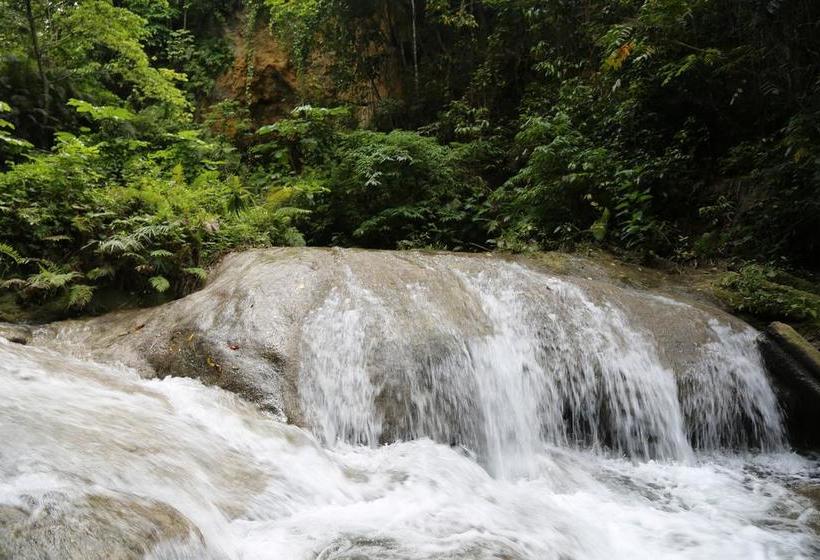 Reggae Hostel Ocho Rios