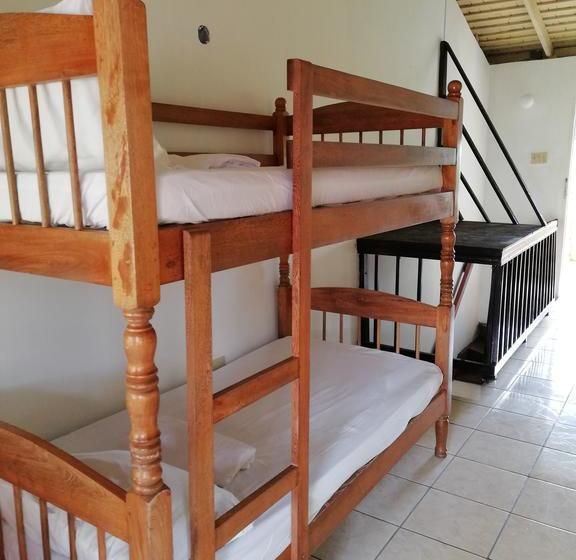 Reggae Hostel Ocho Rios