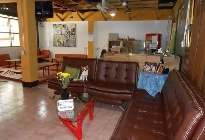 The Living Place 1  Hostel