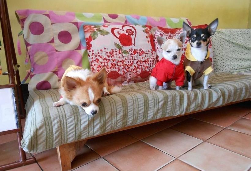 The Living Place 1  Hostel