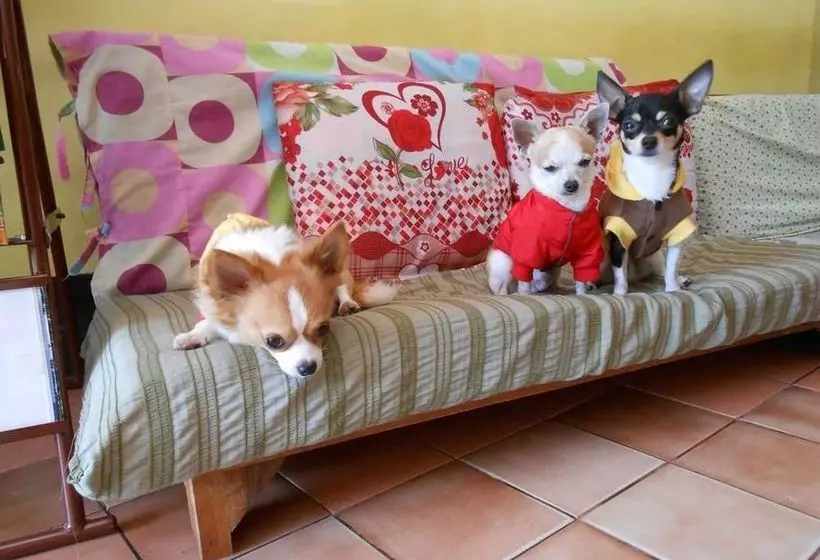 The Living Place 1  Hostel