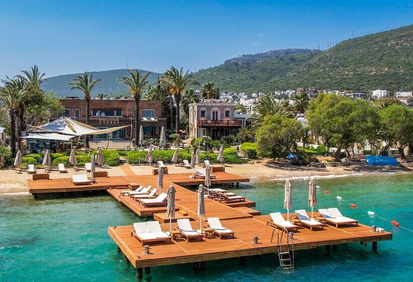 Casa Dell Arte Hotel Of Arts & Leisure