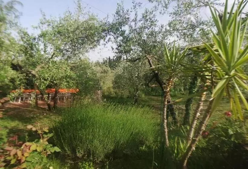 ホテル Agriturismo Crocino In Chianti