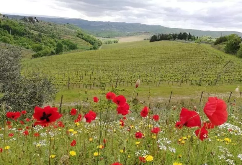 ホテル Agriturismo Crocino In Chianti