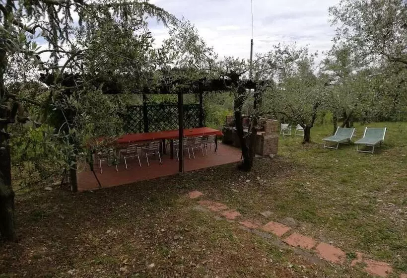 ホテル Agriturismo Crocino In Chianti
