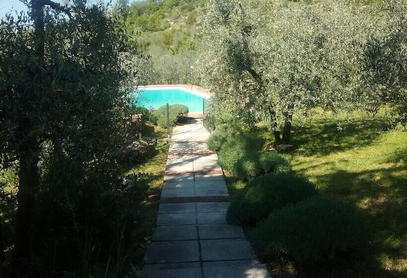 酒店 Agriturismo Crocino In Chianti