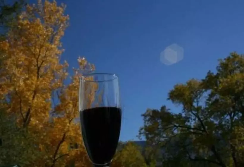 ホテル Dreamcatcher Bed And Breakfast