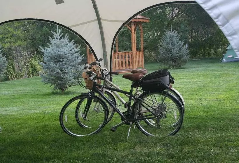 ホテル Dreamcatcher Bed And Breakfast