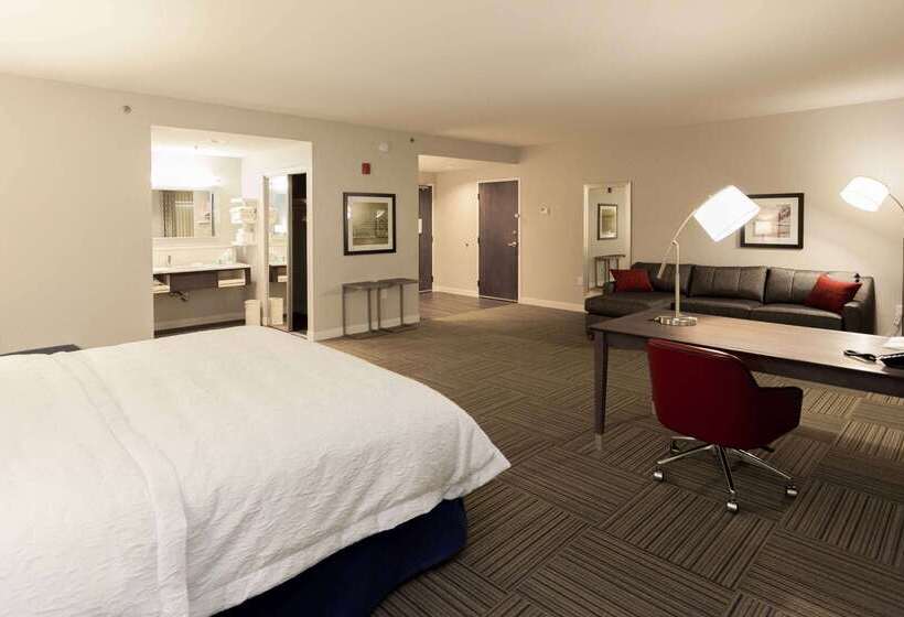 בית מלון כפרי Hampton Inn Emerson Lakepoint