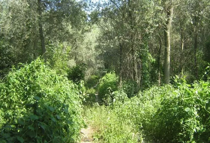 Hotelli Hostiliae Ciminiera