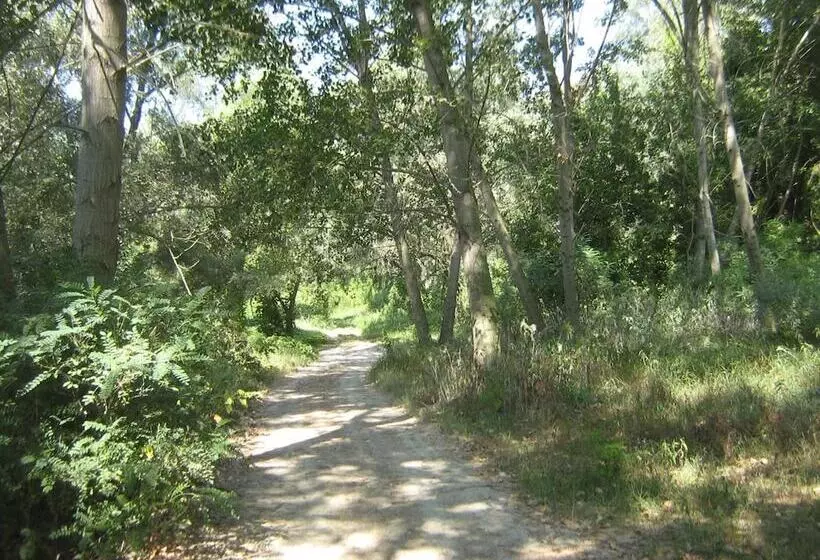 Hotelli Hostiliae Ciminiera