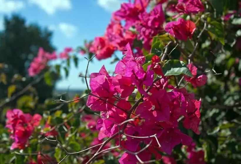 ホテル La Fattoria